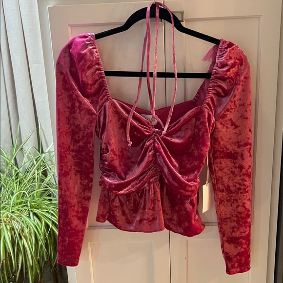 Saylor cedella ruched velvet peplum top - new with tags - Picture 3 of 6